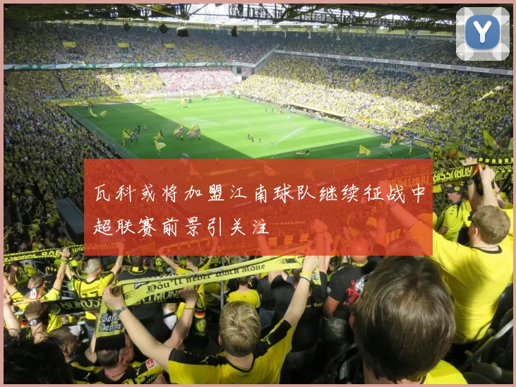瓦科或将加盟江南球队继续征战中超联赛前景引关注