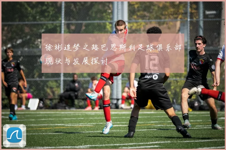 徐彬追梦之路巴恩斯利足球俱乐部现状与发展探讨